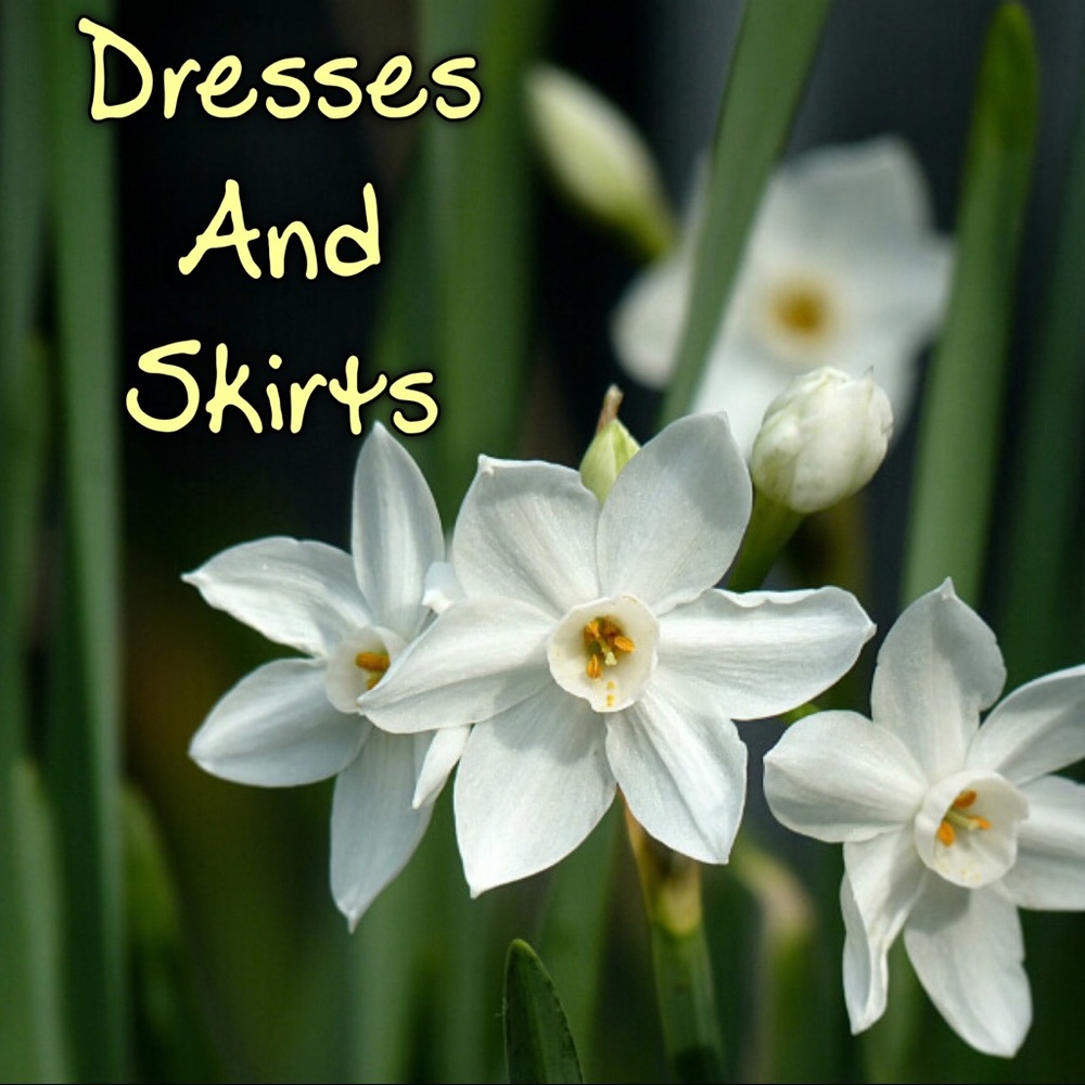 Dresses and Skirts